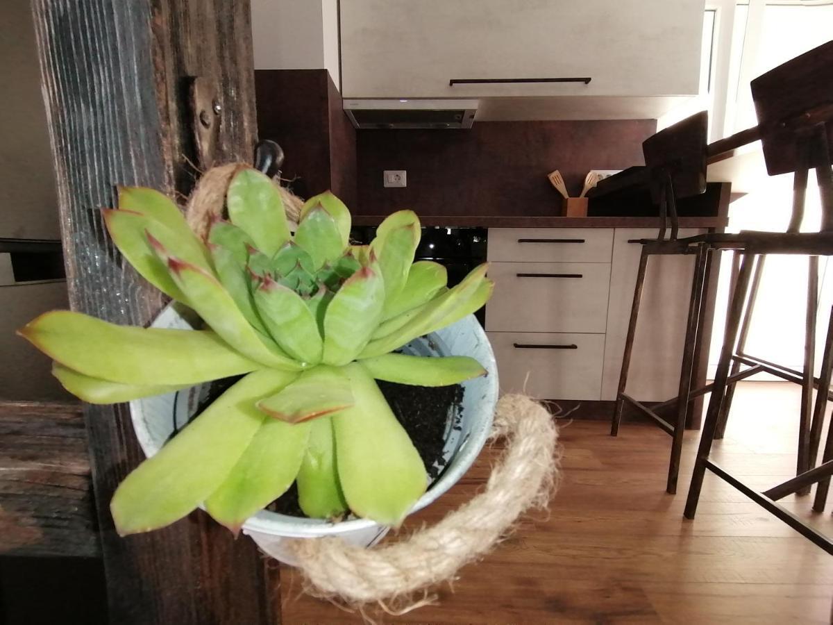 Apartmani Kiko Porec Bagian luar foto