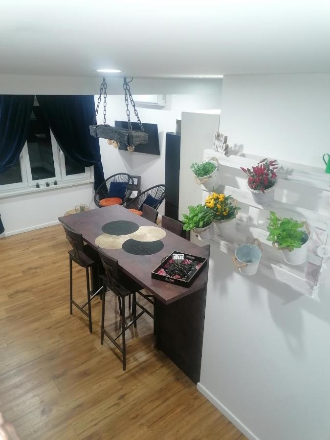 Apartmani Kiko Porec Bagian luar foto